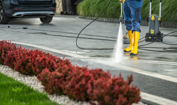 Best Affordable Power Washing  in Rutherford, PA